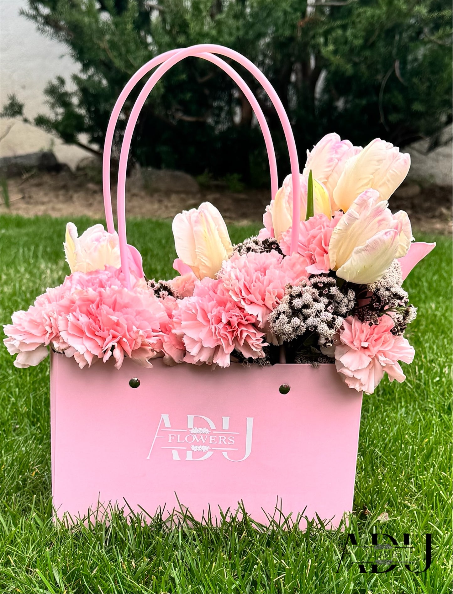 Light Pink Bag