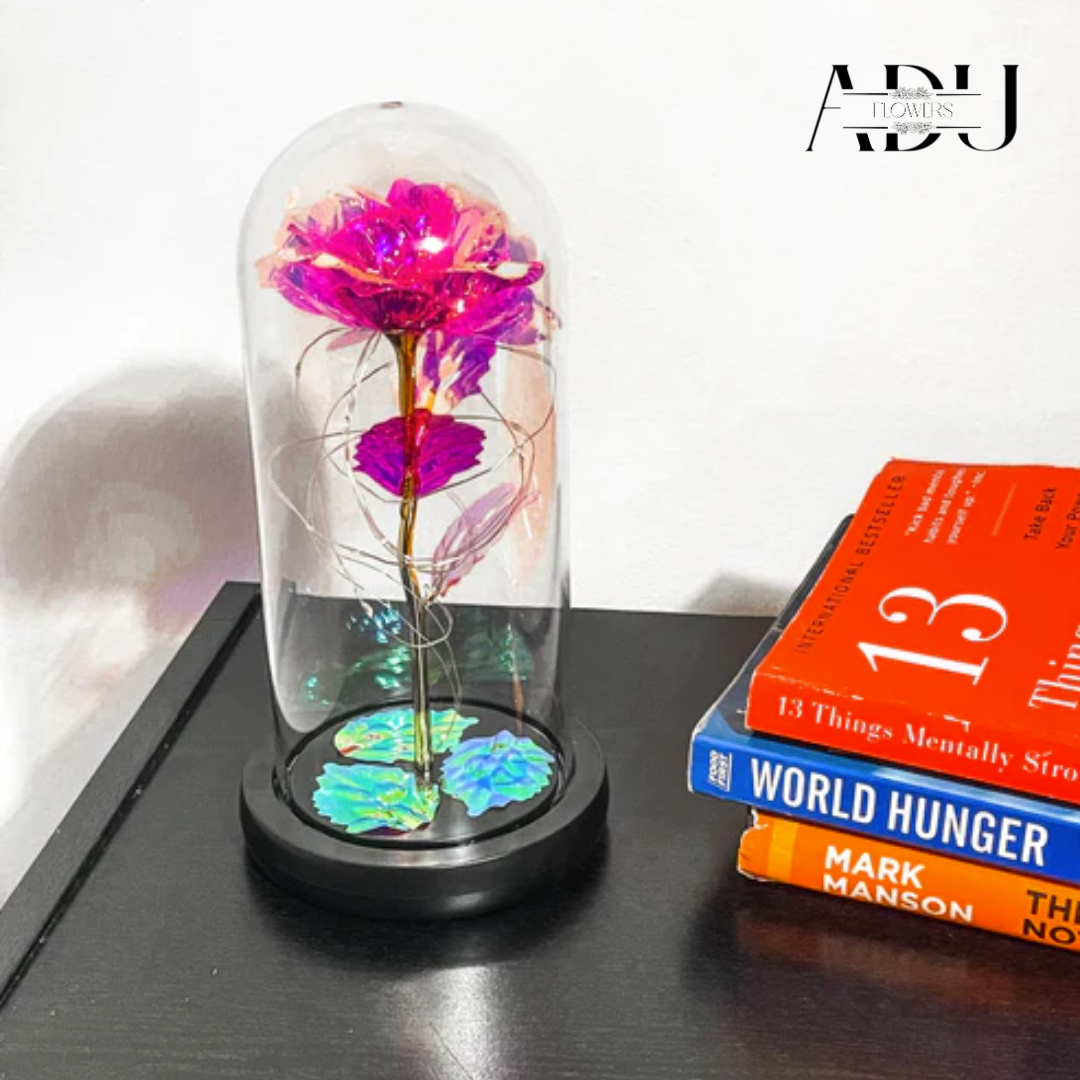 Rose In Glass 🌸