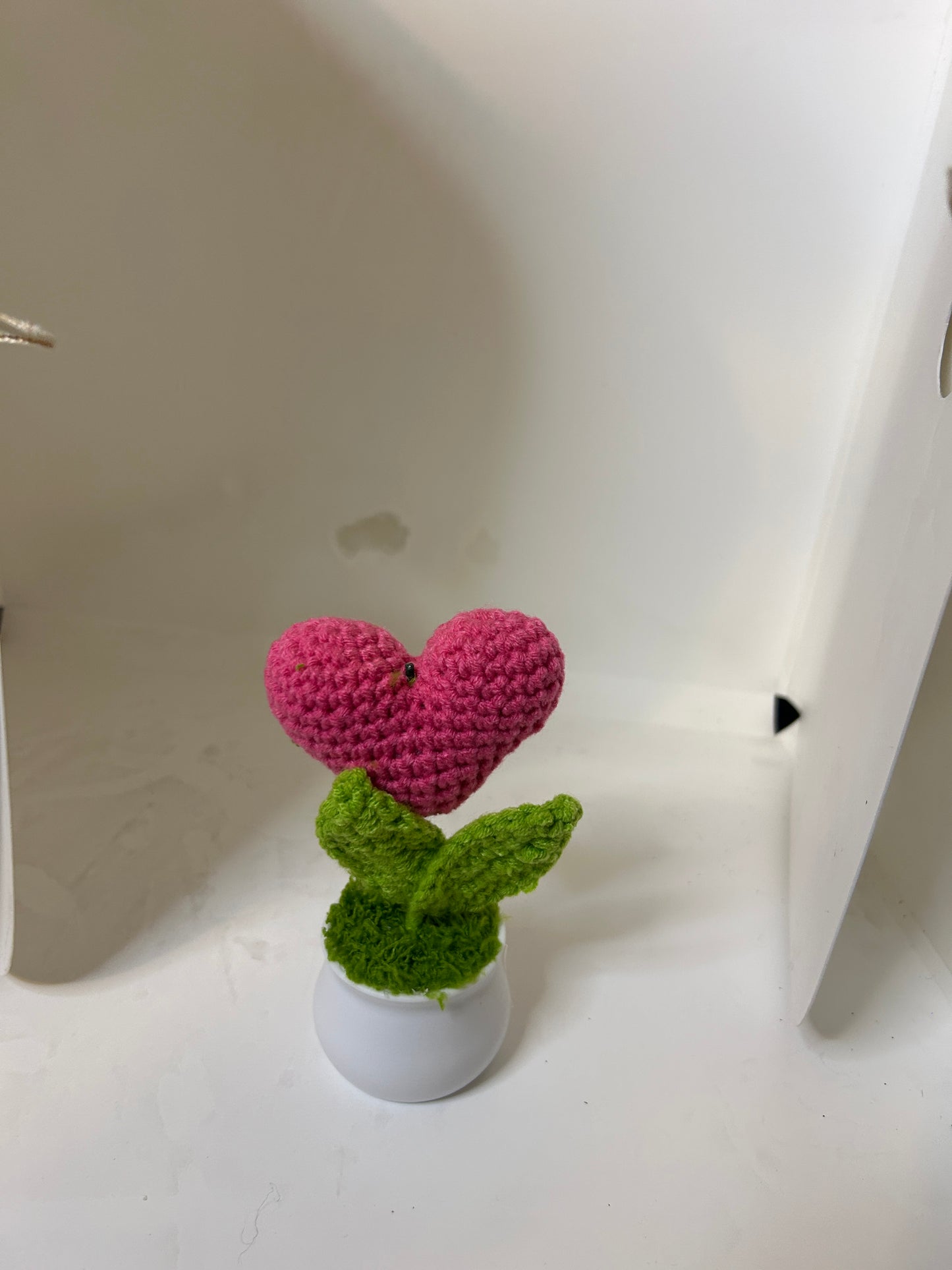 Knit Heart Desk Bloom