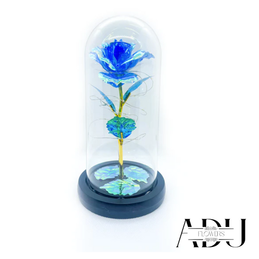 Rose In Glass 🦋