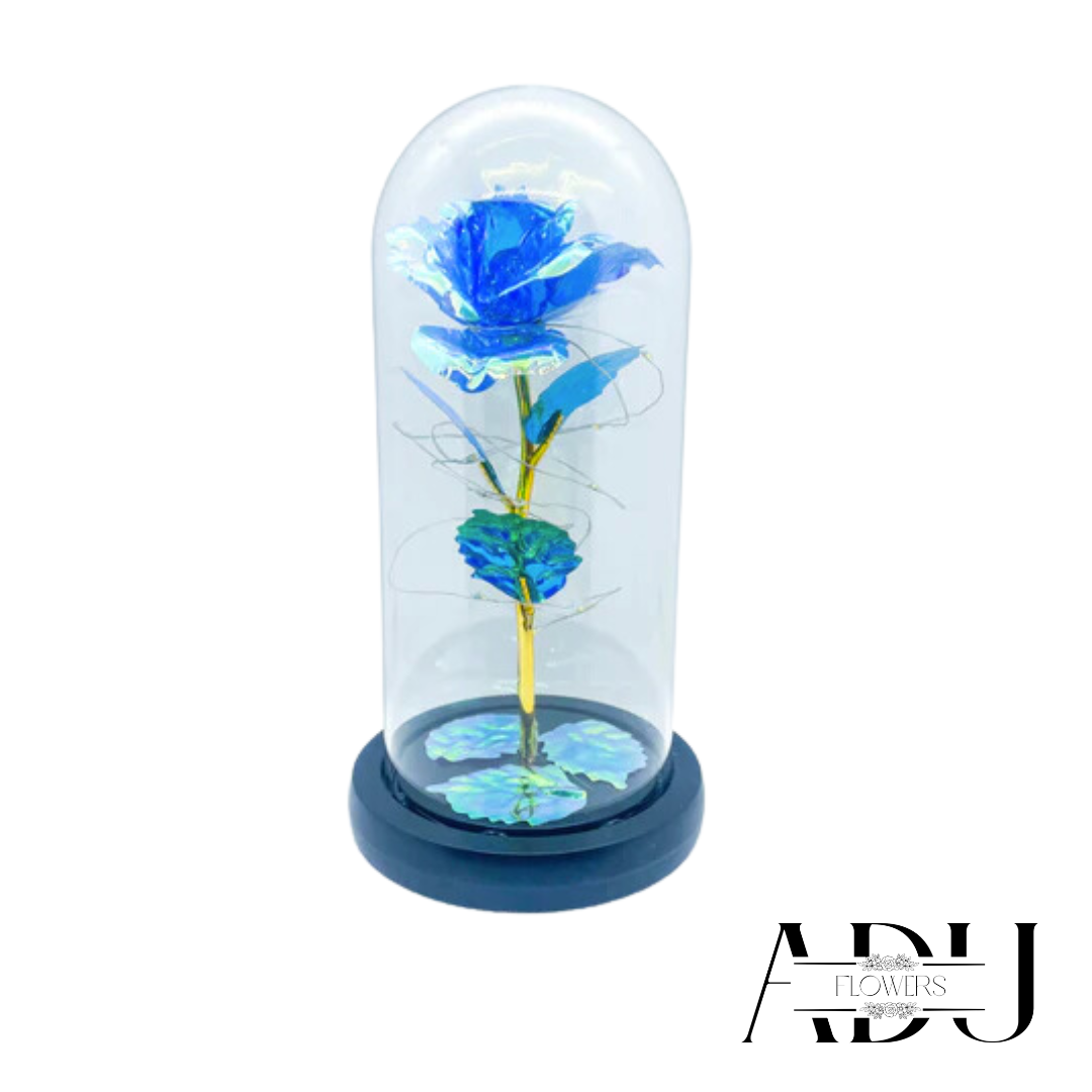 Rose In Glass 🦋