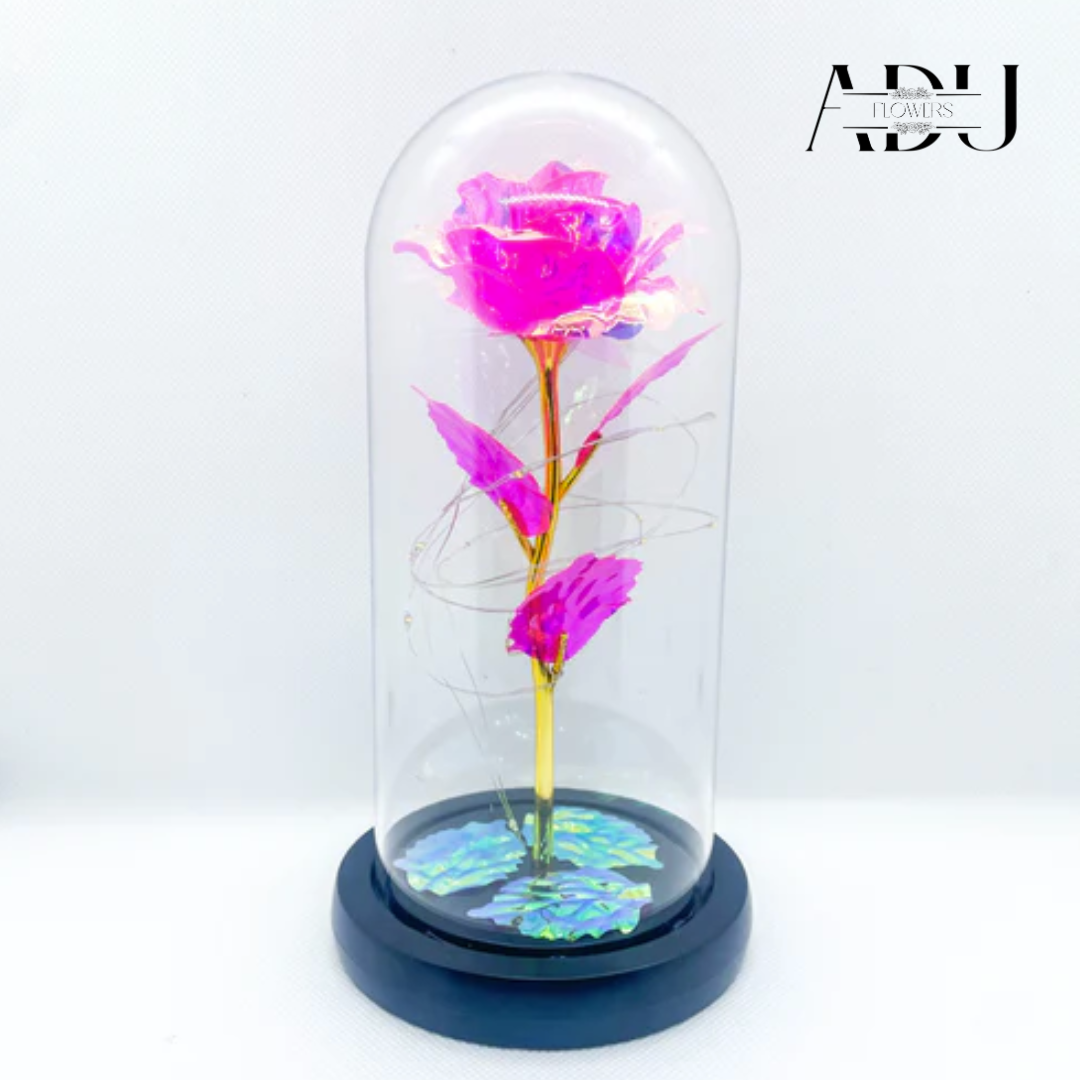 Rose In Glass 🌸