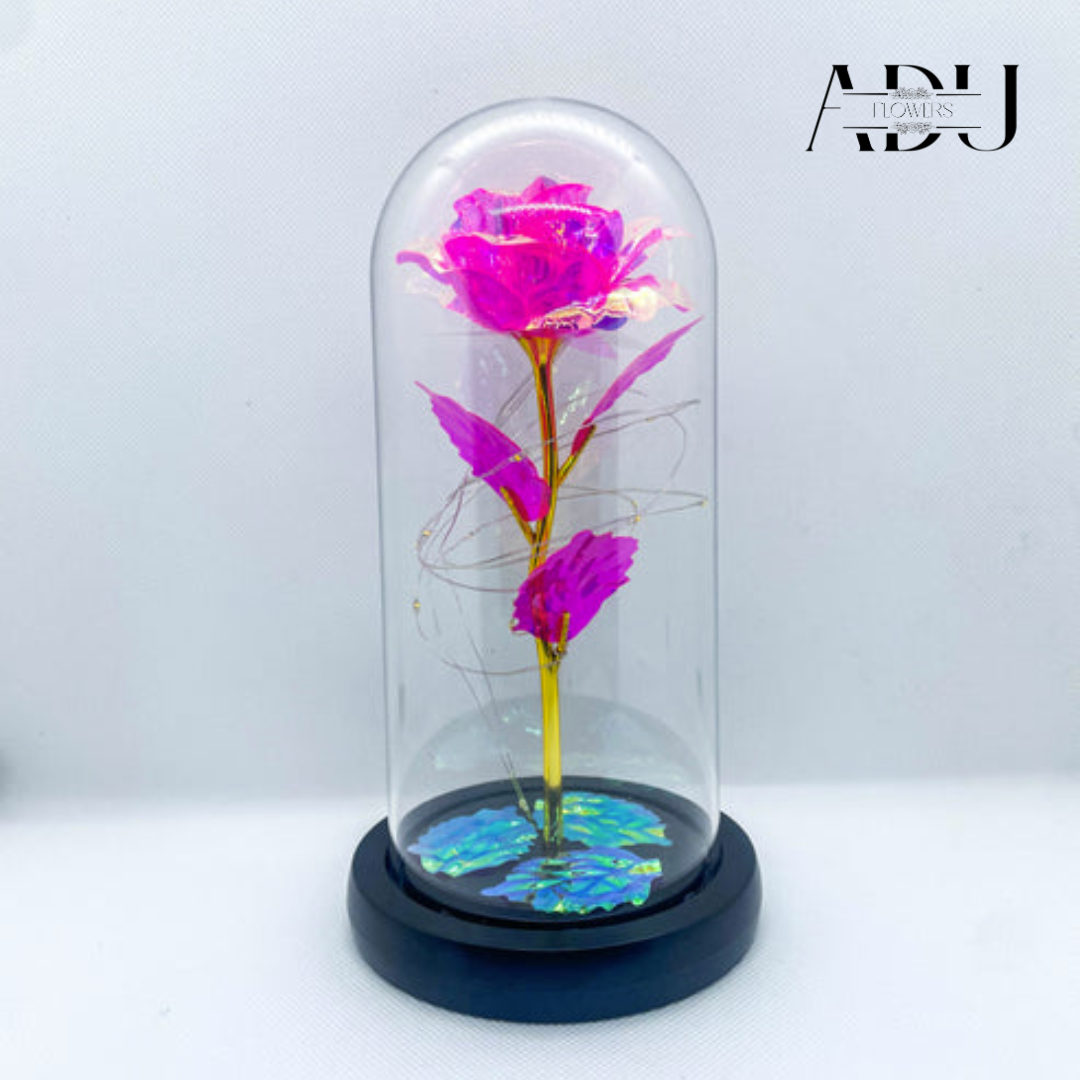 Rose In Glass 🌸