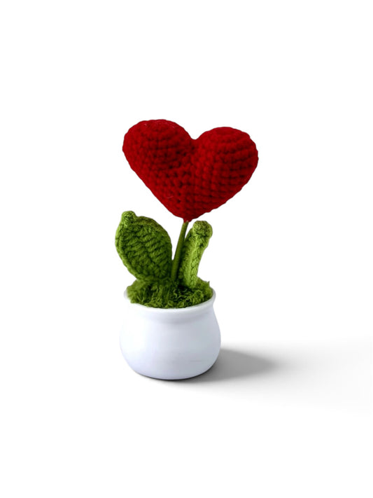 Sweetheart Knit Bloom